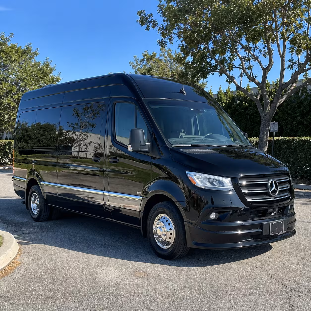 sprinter limousine